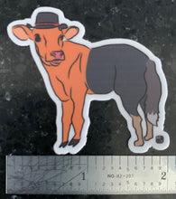Load image into Gallery viewer, Australian Cattle Dog Sticker