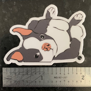 Lazy Boston Terrier Sticker